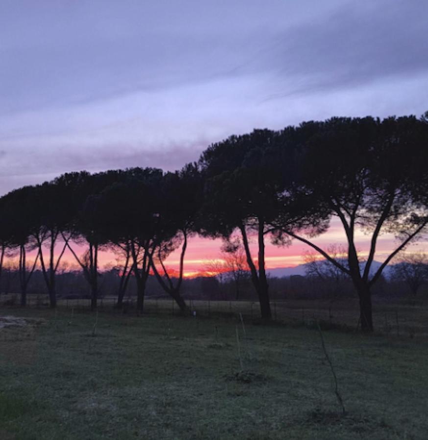 Villa Donnola: Casa Rosmarino Фучеккьо Экстерьер фото
