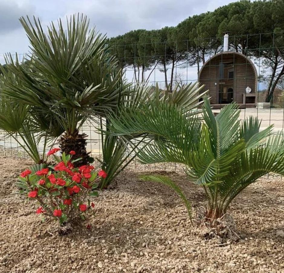 Villa Donnola: Casa Rosmarino Фучеккьо Экстерьер фото